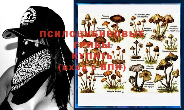 винт Дмитровск