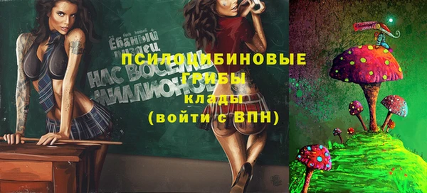 винт Дмитровск