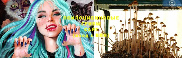 MESCALINE Дмитриев