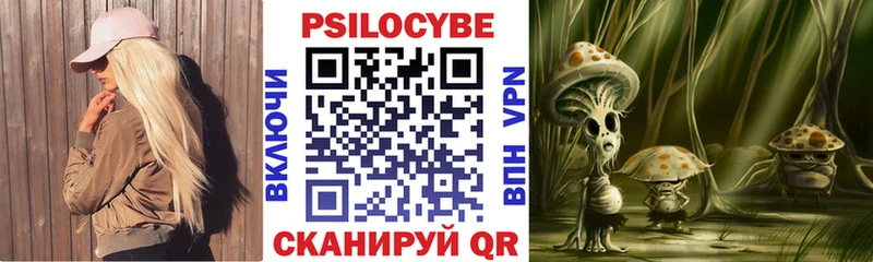 Купить закладки  Амурск  Псилоцибиновые грибы Cubensis 