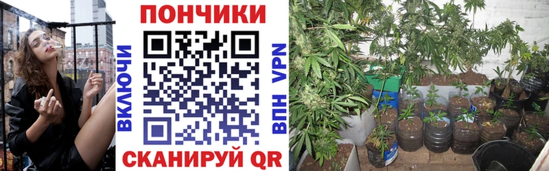 Купить  Амурск  Шишки марихуана LSD WEED 